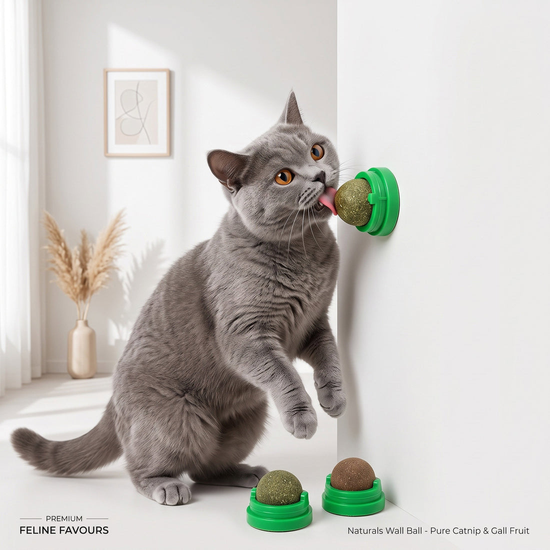FurFree™ Natural Catnip Wall Ball