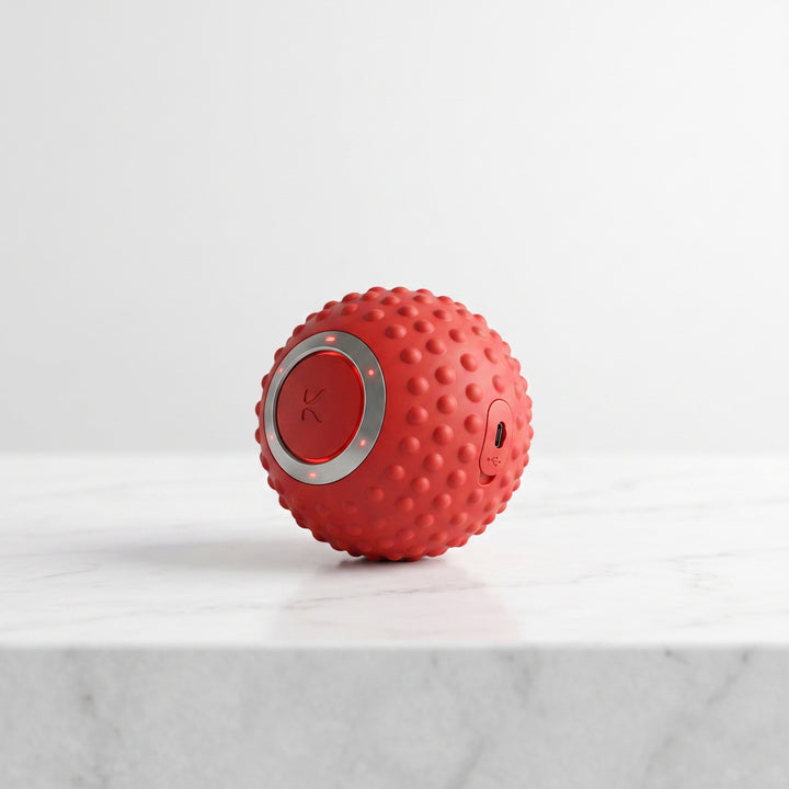 FurFree™ Smart Interactive Rolling Ball for Dogs